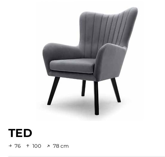 Fotel Ted