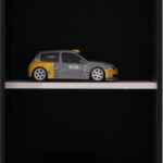 miniatura
